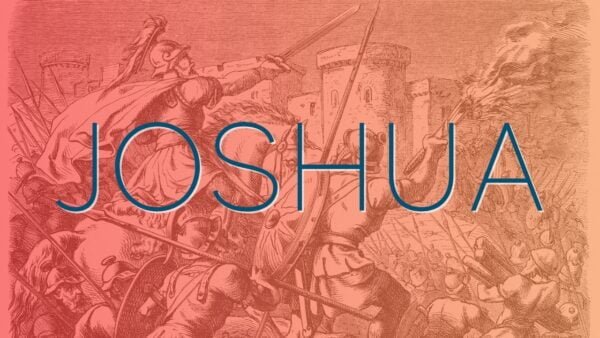 Joshua: Conquer & Divide Image